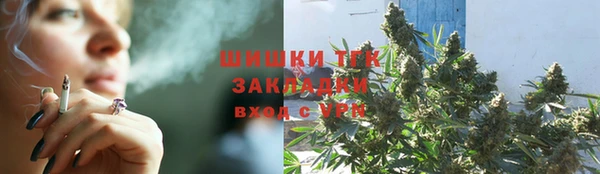 стаф Богородицк