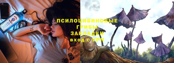 стаф Богородицк