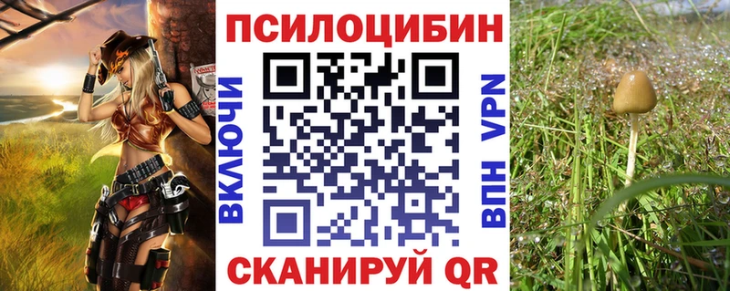Псилоцибиновые грибы прущие грибы  где купить наркоту  Буинск 